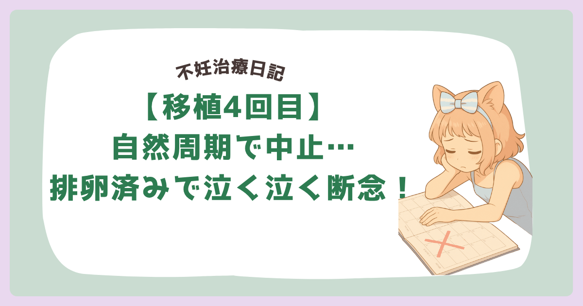 【移植4回目】自然周期で中止…排卵済みで泣く泣く断念！