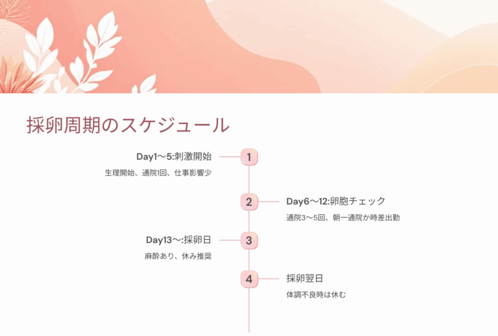 採卵スケジュール